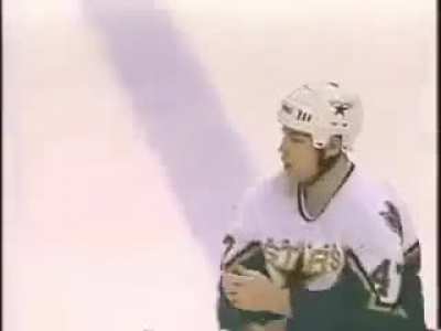 NHL 1 punch fight