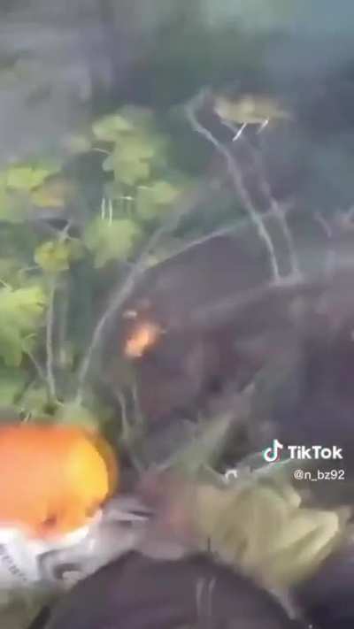 to cut down a tree