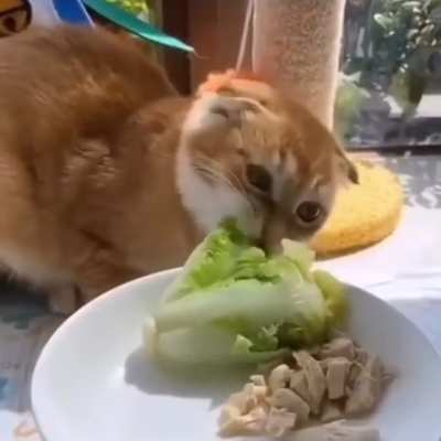 hi