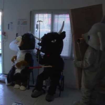 Vet