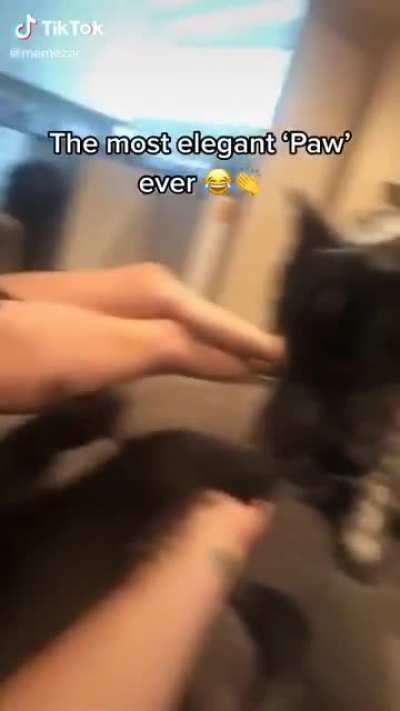 Most elegant paw.