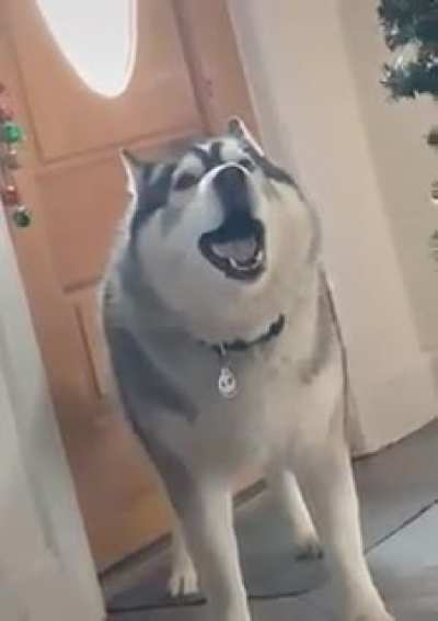 Perfect example of this sub
