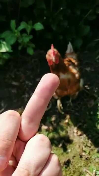 Karma