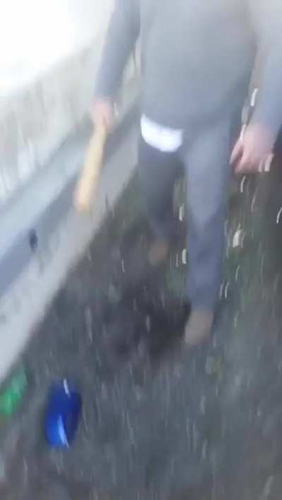 driving with a bat ready to swing