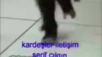 Agalarla eğlence