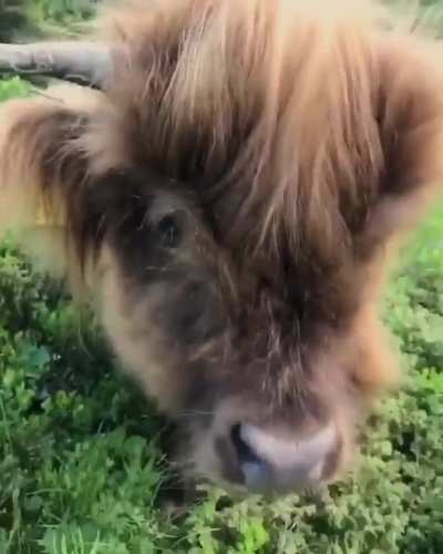 💇‍♀️ what a perfect hair Style 👩🏻‍🎤
