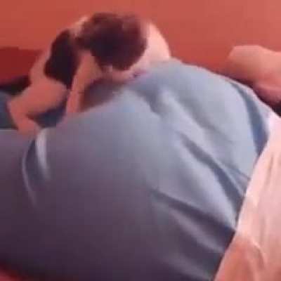 Chomp