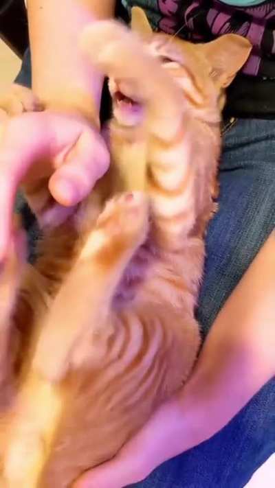 His face says it all.