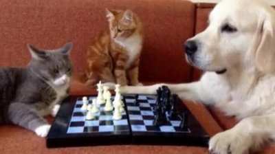 Surprising move from the ref -