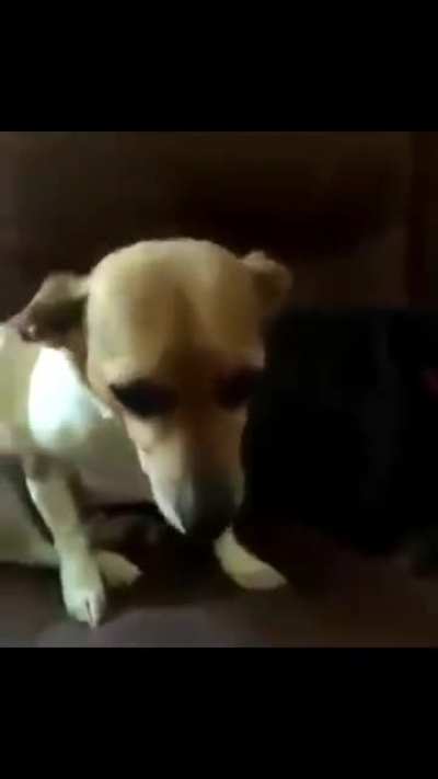 blursed_hando