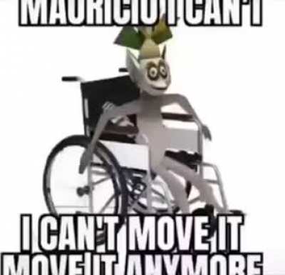 Poor animal