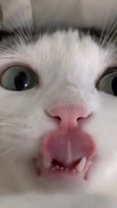 Sound on.