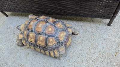 I love my Toby. He is getting to big!