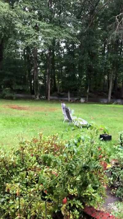 I love sitting on my front porch in the rain (Massachusetts)