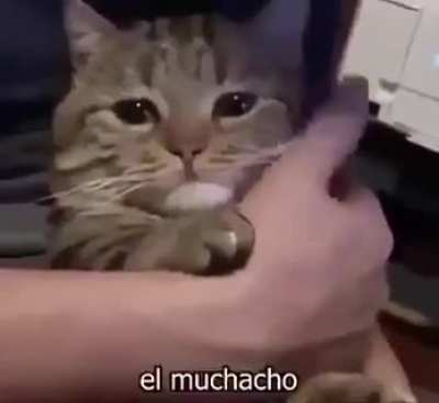 El muchacho