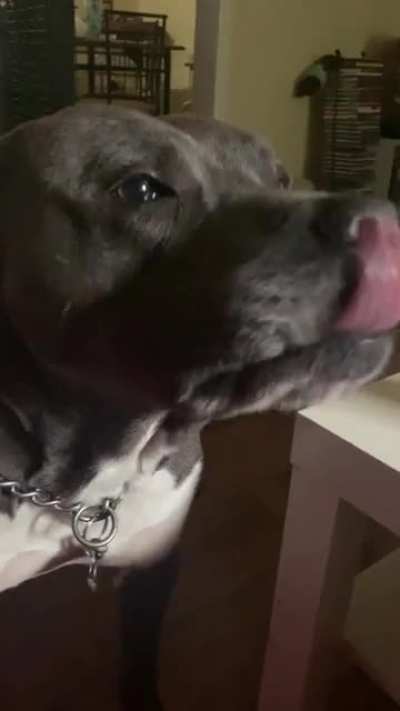 Banksy’s “ready to go for a walk” song