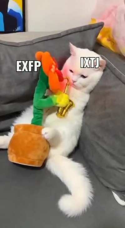 📯📯📯