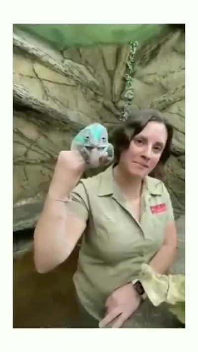 Sike