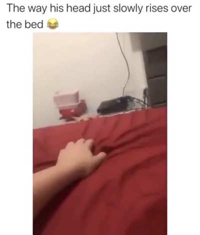 WARNING jumpscare