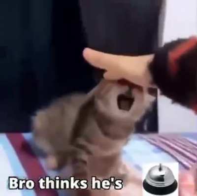 Ding ding ding 