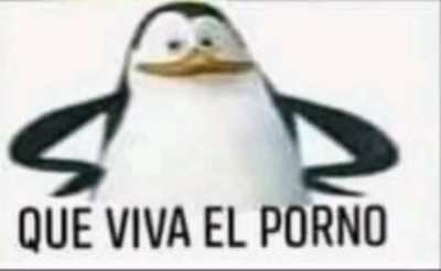 xD