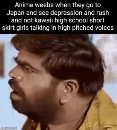 Where are they?