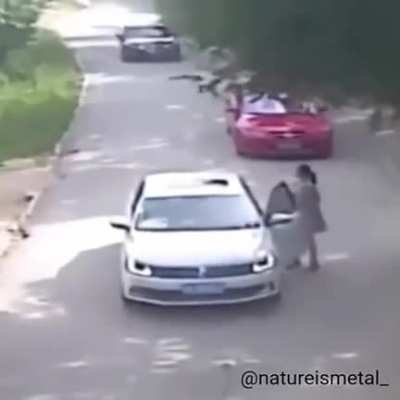where tf did that appear from