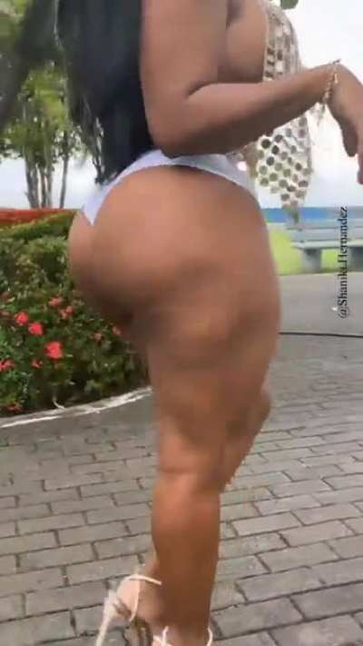 Shaniki Hernandez 🦓