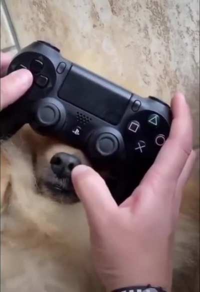 Some video games are truly a team sport