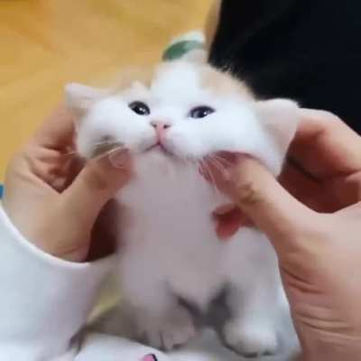 Щёчки