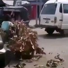Pubg irl