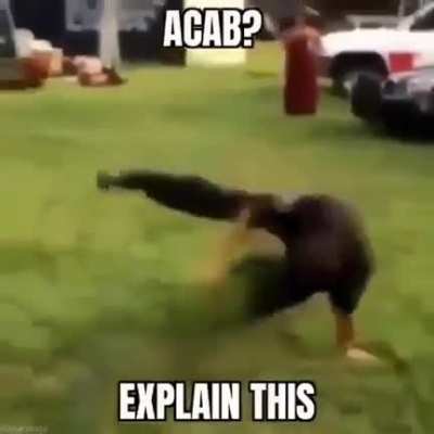 Holy shit