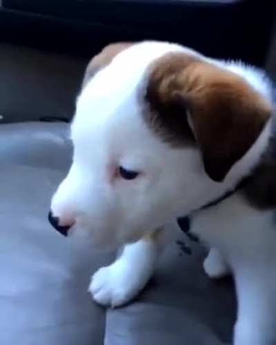 His hiccups make him angry