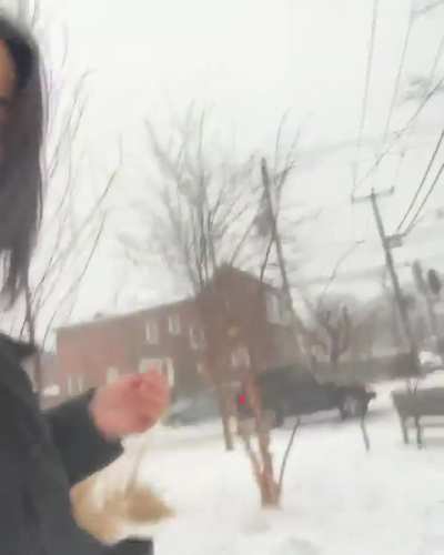 Anna in Toronto while filming Pachinko S2 (02/2023)