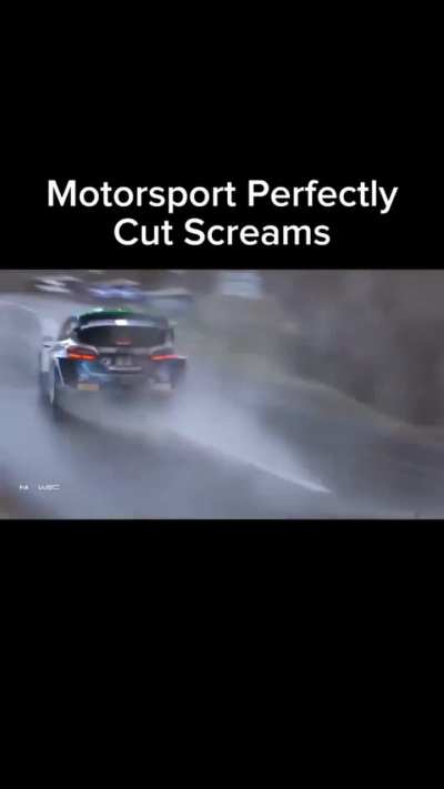 Motorsport perfectly cut scream
