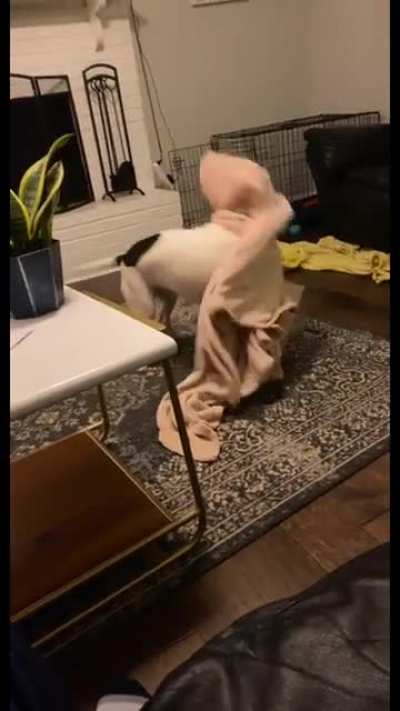 AAAAAA