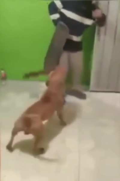 Maybe maybe maybe