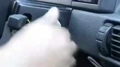 Grr