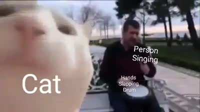 Straight Facts