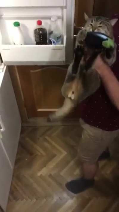 Mine