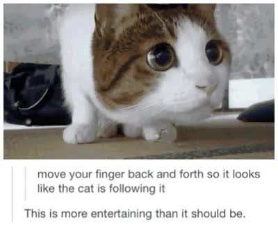 this kept me entertained for much longer than i’d want to admit