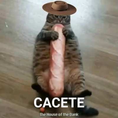 Renan be like
