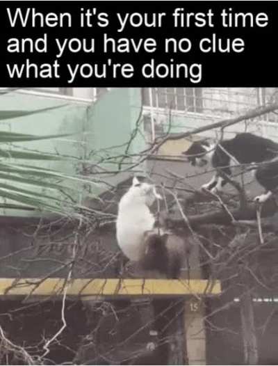 Weird place of choice but okay