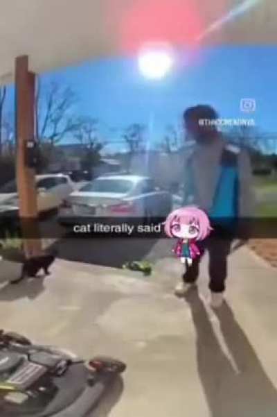 Loser greeting 