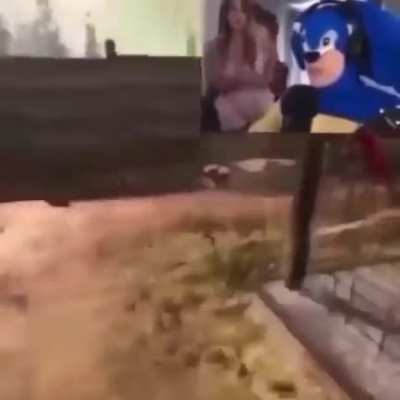 Tô jogando aqui sai daqui