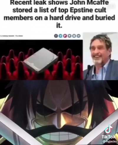 John McAfee has left a real life one piece