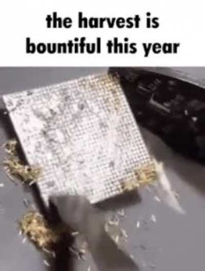 Rule