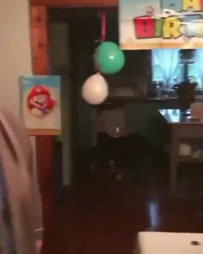A lo súper Mario 😎