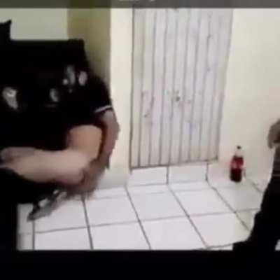 Cursed spankin