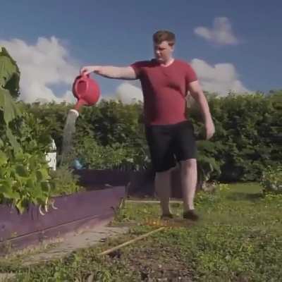 Gardening